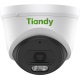 TIANDY в Костроме