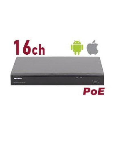 RK2216-P. Видеорегистратор IP 16-канальный. Beward в Костроме