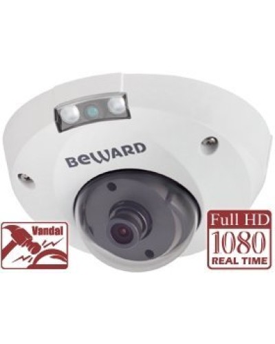 NK55630D8. IP-камера купольная. Beward в Костроме