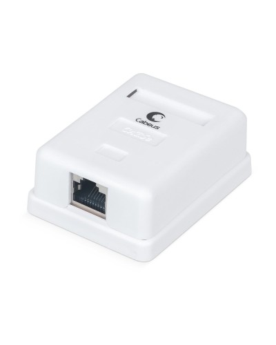WS-8P8C-Cat.5e-SH-1 (7485c): Розетка RJ-45 в Костроме
