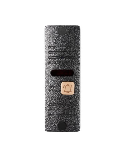 CTV-D10 Plus S (серебро). Вызывная панель цветная. CTV в Костроме