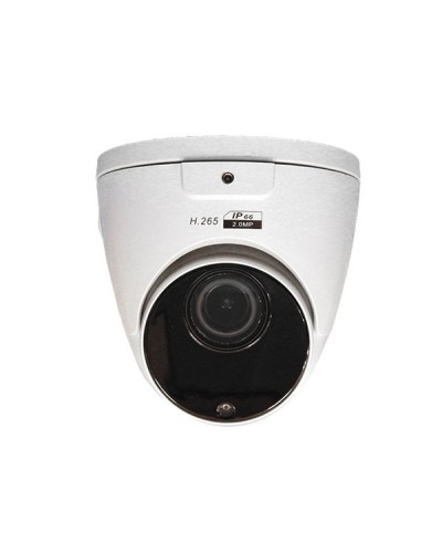 CO-RD23P. Видеокамера IP купольная. ComOnyx в Костроме