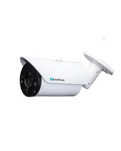 EZN-268V. Видеокамера IP купольная. EverFocus в Костроме