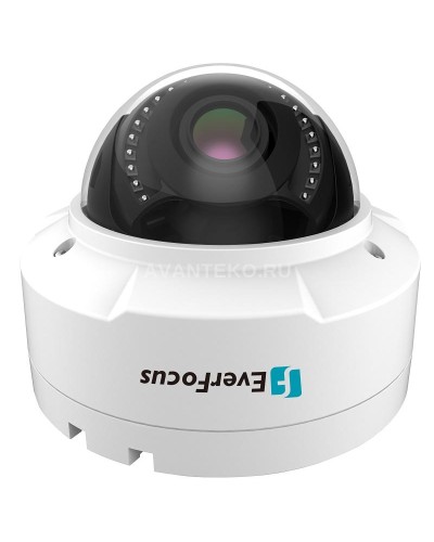 EHN-1250. Видеокамера IP купольная. EverFocus в Костроме