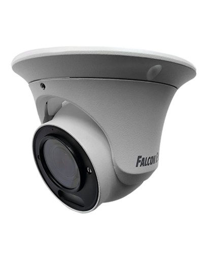 FE-IPC-DV2-40pa. Видеокамера IP купольная. Falcon EYE в Костроме