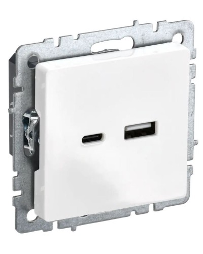 Розетка USB A+C 18Вт РЮ11-1-БрБ белый BRITE (BR-U22-018-K01). Розетка USB. IEK в Костроме