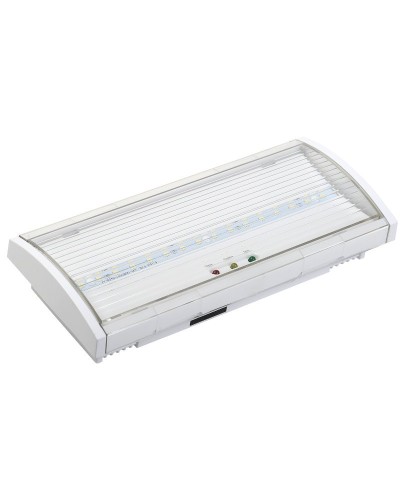 Светильник аварийный ДПА 5040-3 3ч IP54 LIGHTING (LDPA0-5040-3H-K01). Светильник аварийный постоянного действия. IEK в Костроме