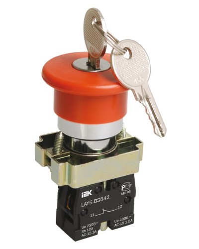 Кнопка LAY5-BS142 Грибок с ключом D22мм (BBG50-LAY5-K04). Кнопка. IEK в Костроме