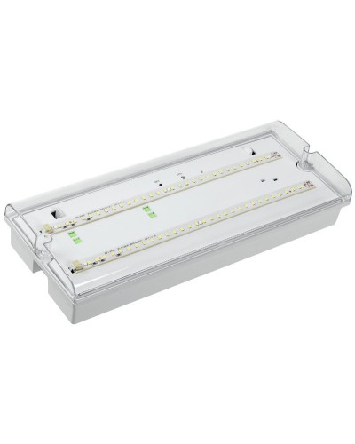 Светильник аварийный ДПА 5042-3 3ч IP65 LIGHTING (LDPA0-5042-3-65-K01). Светильник аварийный универсальный. IEK в Костроме
