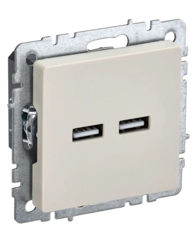 Розетка USB A+A 3,1А РЮ10-1-БрКр бежевый BRITE (BR-U21-D31-K10). Розетка USB. IEK в Костроме