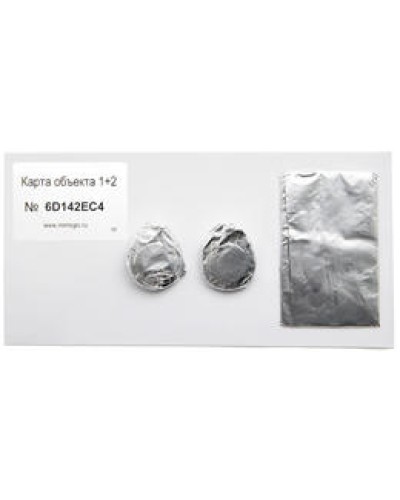 Карта объекта 1+2. Проксимити карта. IronLogic в Костроме