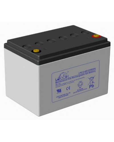 LEOCH LPG 12-60. Аккумулятор герметичный свинцово-кислотный. LEOCH в Костроме