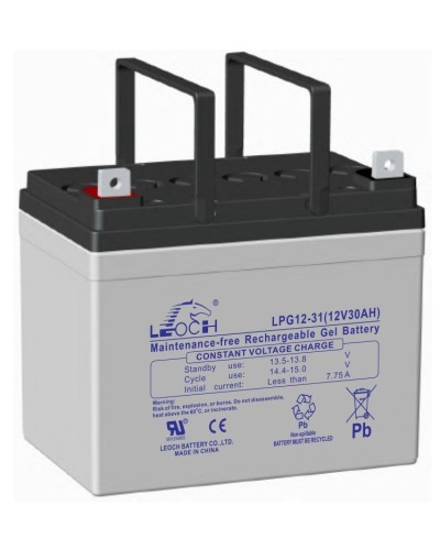 LEOCH LPG 12-31. Аккумулятор герметичный свинцово-кислотный. LEOCH в Костроме
