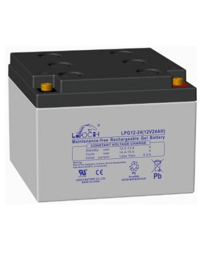 LEOCH LPG 12-24. Аккумулятор герметичный свинцово-кислотный. LEOCH в Костроме
