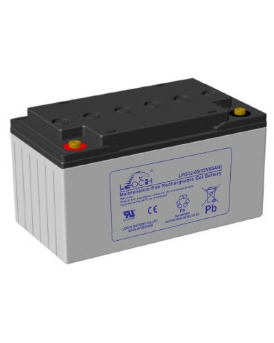 LEOCH LPG 12-65. Аккумулятор герметичный свинцово-кислотный. LEOCH в Костроме