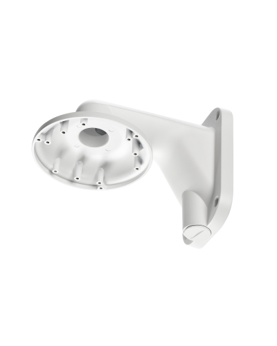 RVi-1BWM-5 white. Кронштейн настенный. RVi в Костроме