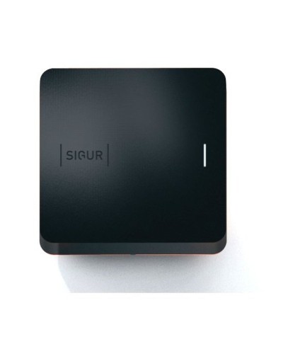 Sigur MR100 Multi. Считыватель. SIGUR в Костроме
