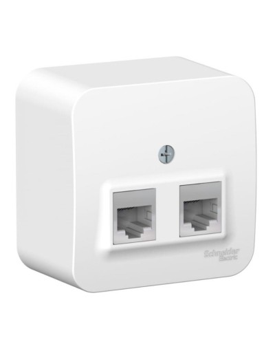 BLANCA розетка RJ11+RJ45, 2-местная, кат. 5Е, открытой установки, белый (BLNIA045111). Розетка компьютерная + телефонная с изолированной пластиной. Systeme Electric в Костроме