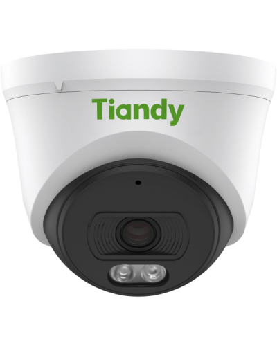 TC-C34XN I3/E/Y/2.8/V5.0. Видеокамера IP купольная. Tiandy в Костроме