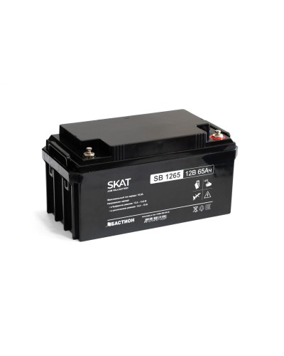SKAT SB 1265 (2541). Аккумулятор герметичный свинцово-кислотный. Бастион в Костроме
