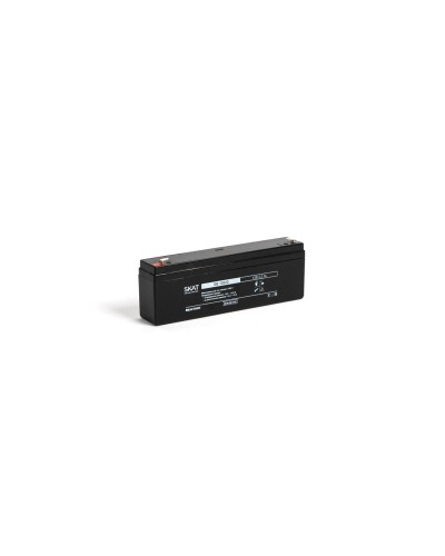 SKAT SB 12022 (2539). Аккумулятор герметичный свинцово-кислотный. Бастион в Костроме