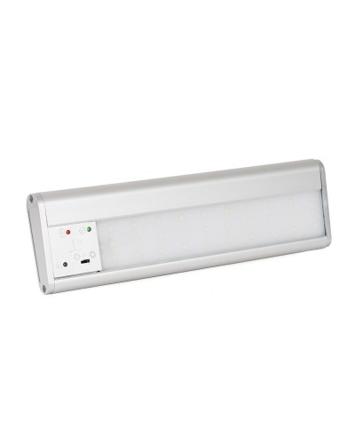 SKAT LT-2330-LED-Li-lon (2450). Светильник аварийного освещения. Бастион в Костроме