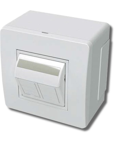 Коробка в сборе с 2 розетками RJ45, кат.5е, белая (10656): Коробка в сборе в Костроме