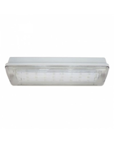 SL-213-30LED1.8 исп.1 IP54. Светильник аварийного освещения. ИП Раченков А.В. в Костроме