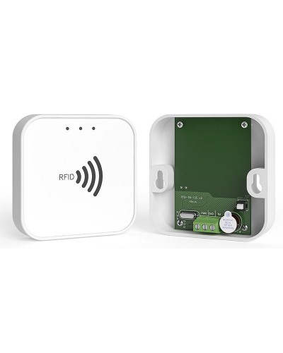 RFID-TM. Считыватель RFID. Ритм в Костроме