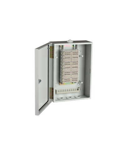 ШРН-В/100-Р (120908-00122). Шкаф ШРН-В/100-Р, плинт ПВТ-10Р-5е. ССД (Связьстройдеталь) в Костроме