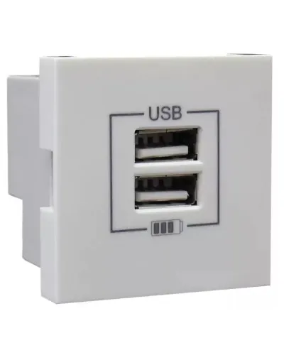 Розетка USB двойная, зарядная, белая (45439 SBR): Розетка USB двойная в Костроме