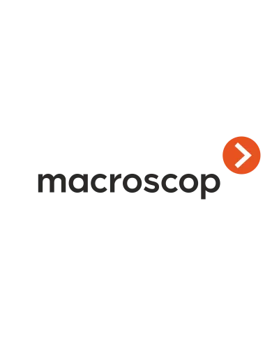 Расширение с LS до ST. Программное обеспечение (опция). MACROSCOP в Костроме