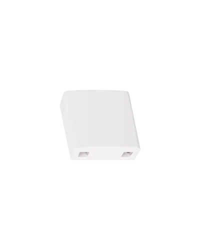 NMF-WO2-BLANK-CS-WT. Корпус настенной розетки. NIKOMAX в Костроме