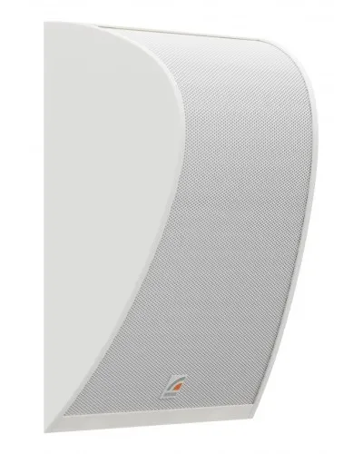 LS-10WT. Громкоговоритель настенный. ROXTON в Костроме