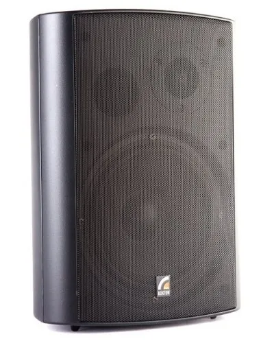MS-40TB (ROXTON). Звуковая настенная колонка. ROXTON в Костроме