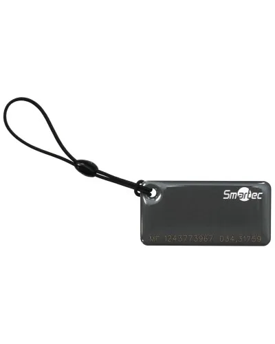 ST-PT015MF-GR. Брелок. Smartec в Костроме