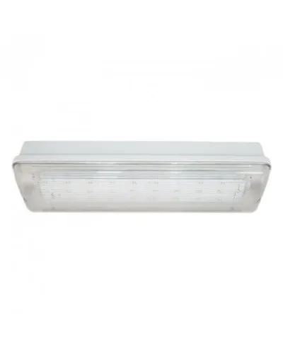 SL-223-30LED1.8 исп. 1, IP65. Светильник аварийного освещения. ИП Раченков А.В. в Костроме