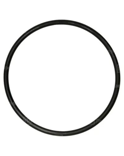 Кольцо резиновое уплотнительное для двустенной трубы D125 (PR08.3160). Кольцо резиновое уплотнительное для двустенной трубы. Промрукав в Костроме